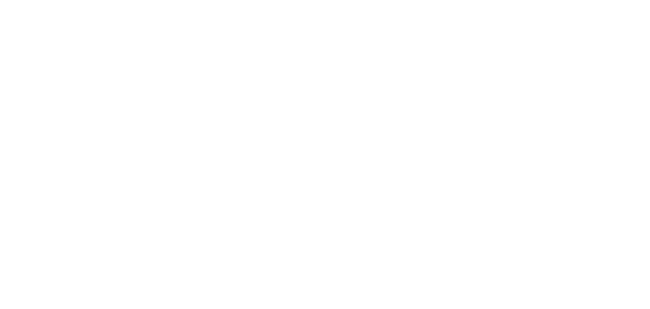 Skeptik